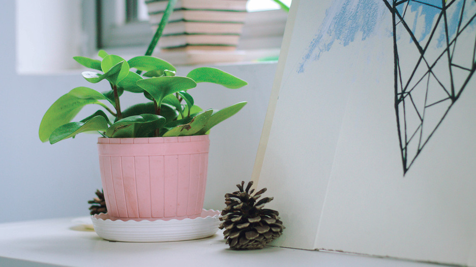 Pinturas eco-friendly
