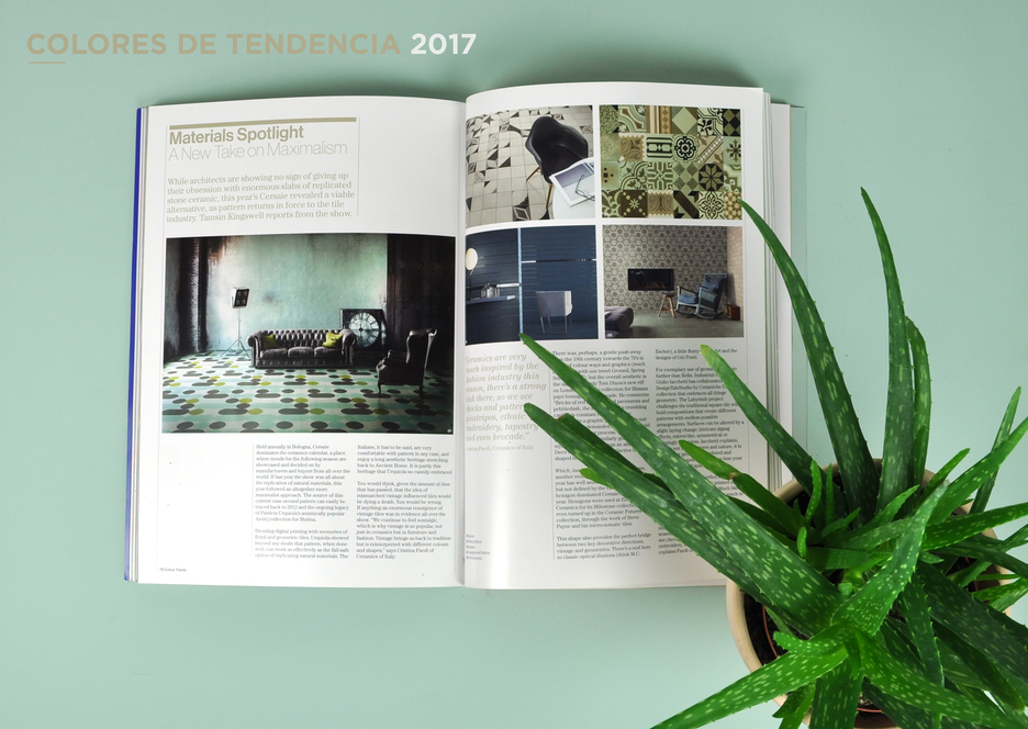 COLOR DEL 2017