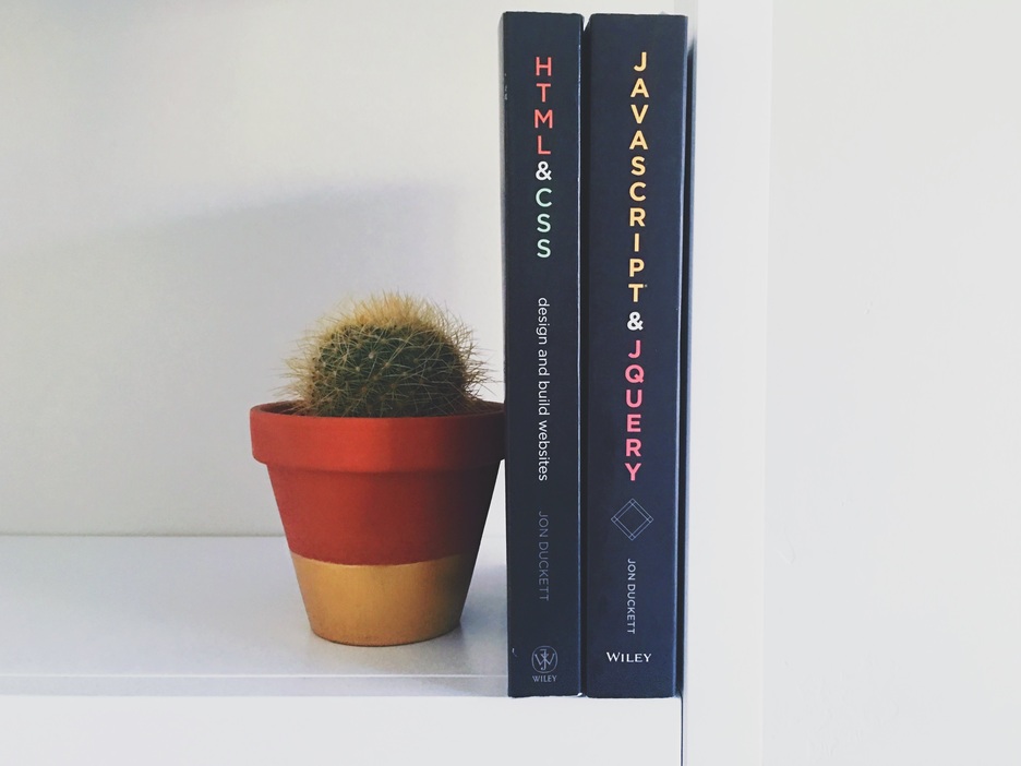 El poder de los cactus  en la decoración.