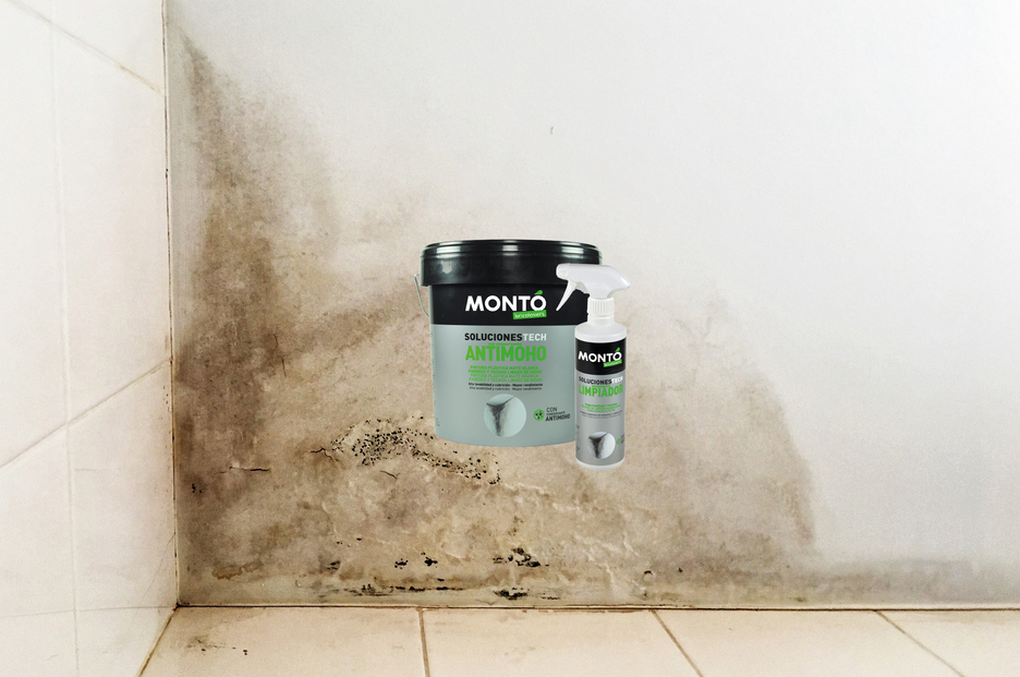 Di adiós al moho, la humedad y la condensación en casa.