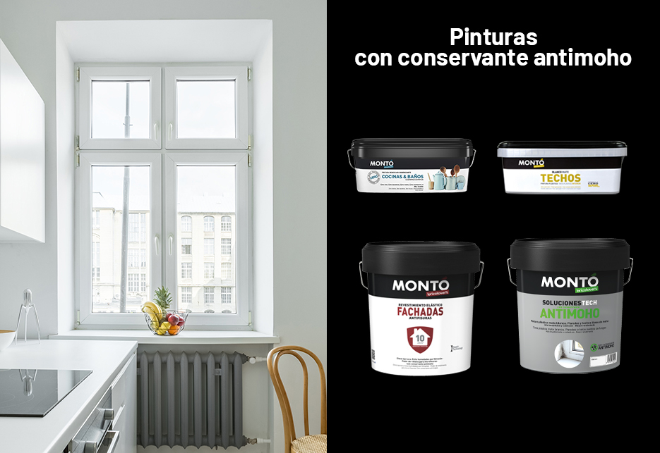 	¿Qué es realmente la pintura con conservante antimoho?