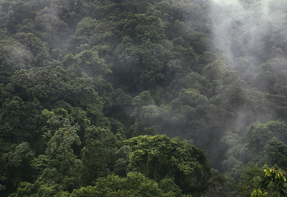 ¿Qué es la pintura ecológica?